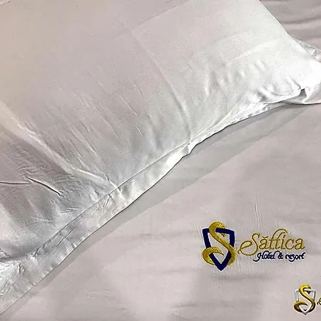 Saftica 3*