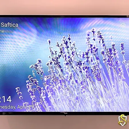 Saftica 布加勒斯特